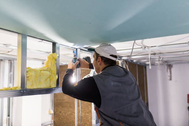 Best Blown-in Insulation in Ackley, IA