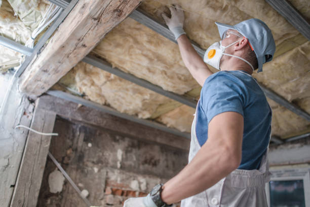 Best Energy Efficiency Insulation in Ackley, IA