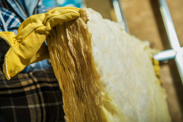 Best Residential Insulation in Ackley, IA