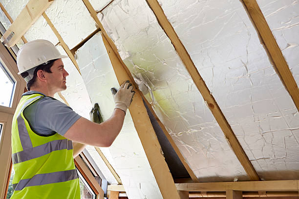 Best Geographic-Specific Insulation Services in Ackley, IA